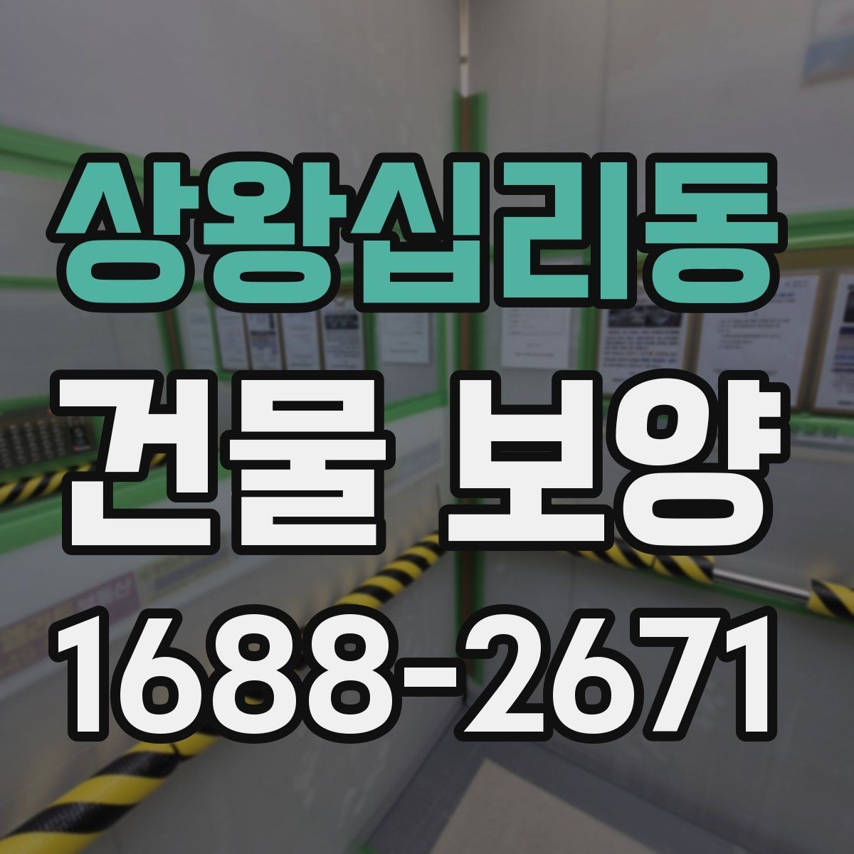 상왕십리동 건물 보양 시공 전후 사진으로 보는 변화
