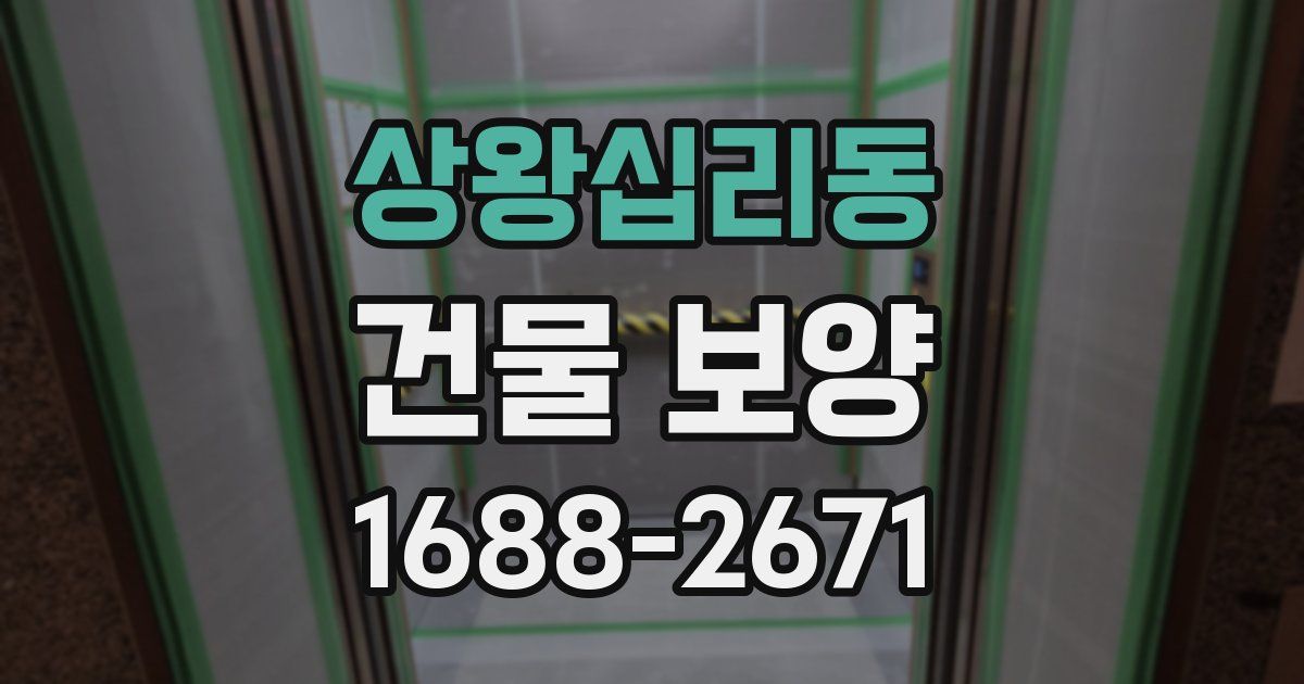 상왕십리동 건물 보양