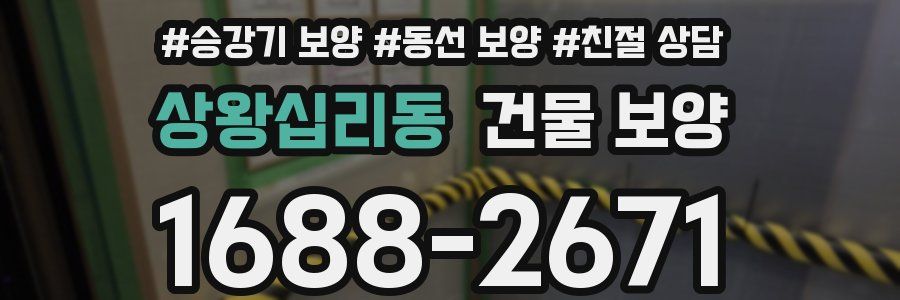 상왕십리동 건물 보양