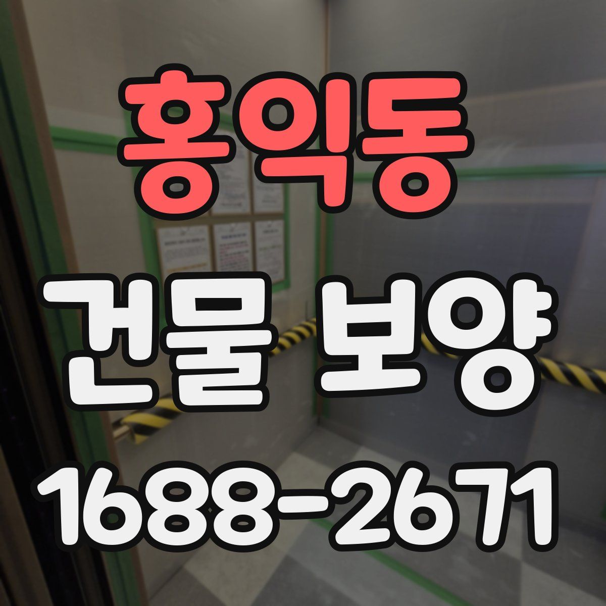 홍익동 건물 보양