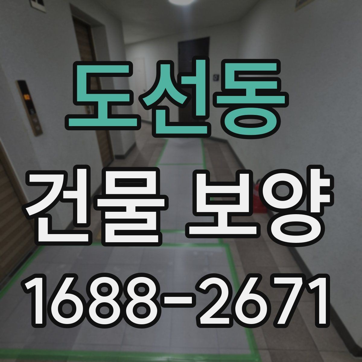 도선동 건물 보양 자재 선택이 결과를 좌우하는 이유