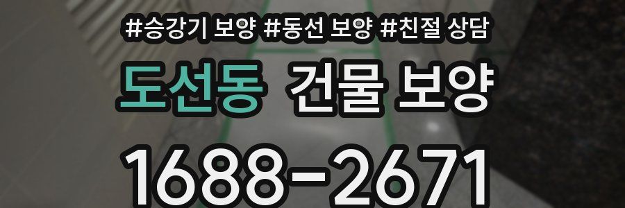 도선동 건물 보양