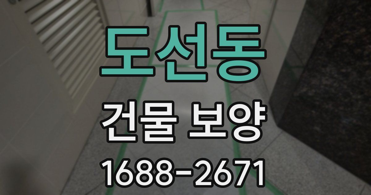 도선동 건물 보양