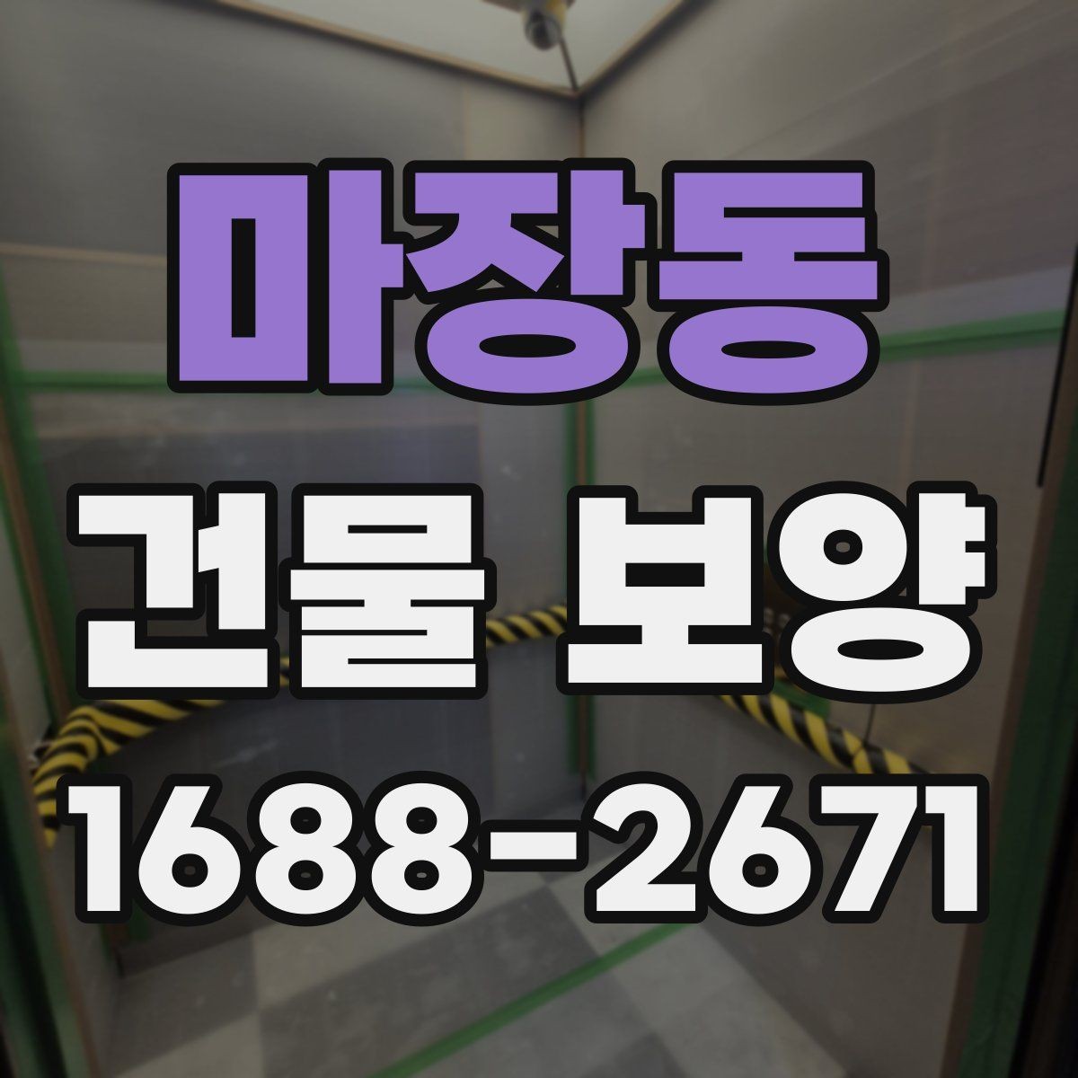 마장동 건물 보양 자재 선택 포인트과 활용법