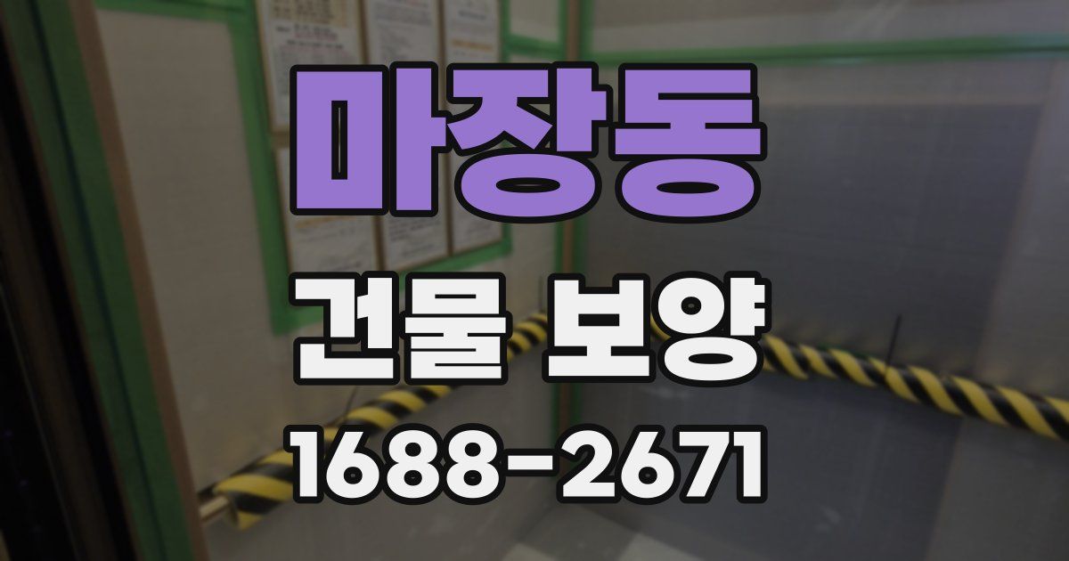 마장동 건물 보양