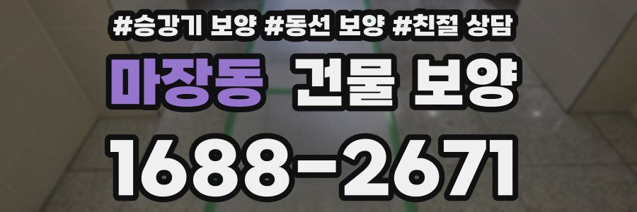 마장동 건물 보양