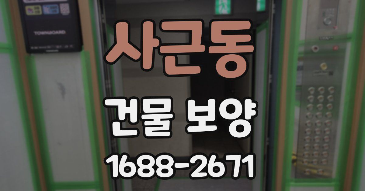 사근동 건물 보양