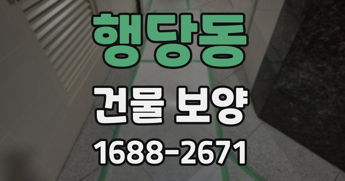 행당동 건물 보양