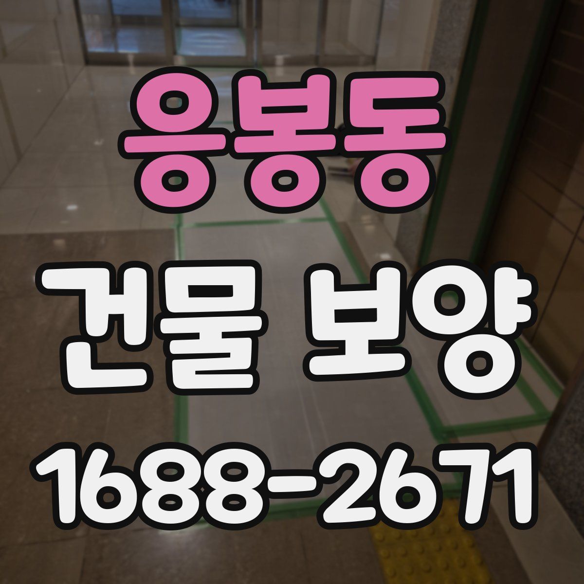 응봉동 건물 보양