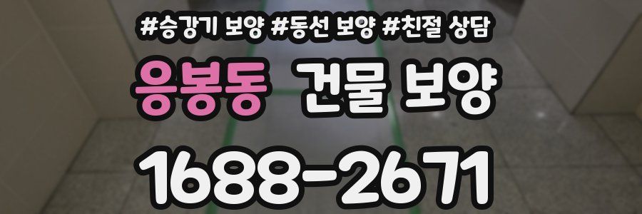 응봉동 건물 보양