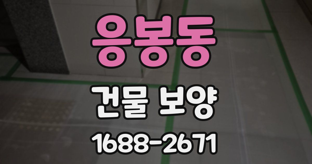 응봉동 건물 보양