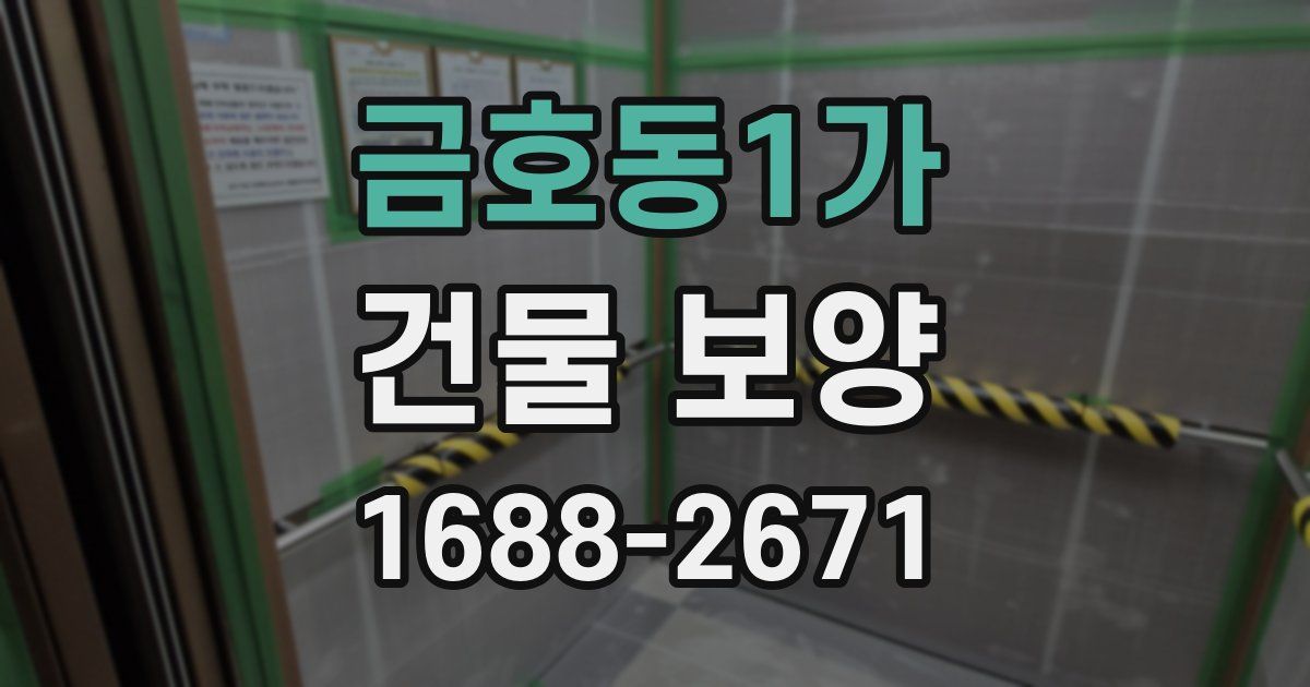 금호동1가 건물 보양