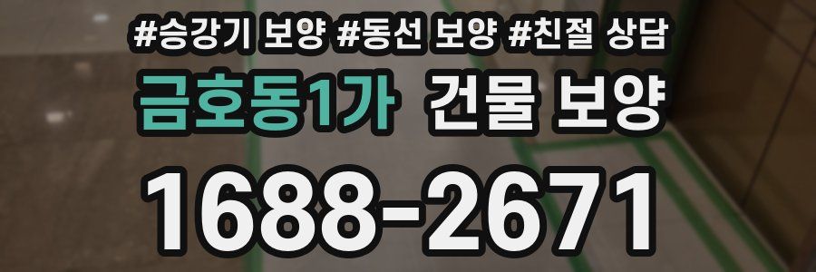 금호동1가 건물 보양