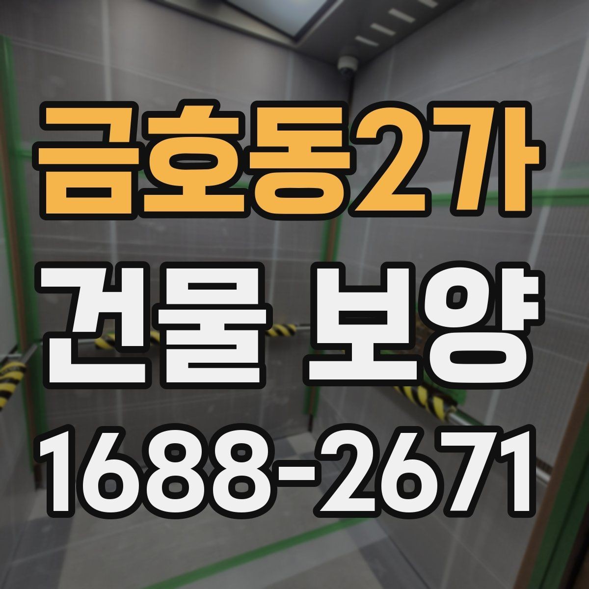 금호동2가 건물 보양 범위를 정할 때 체크할 부분