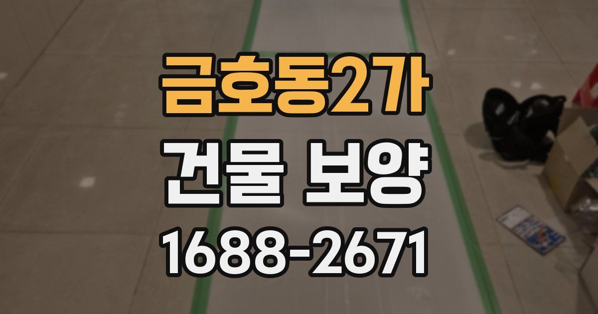 금호동2가 건물 보양