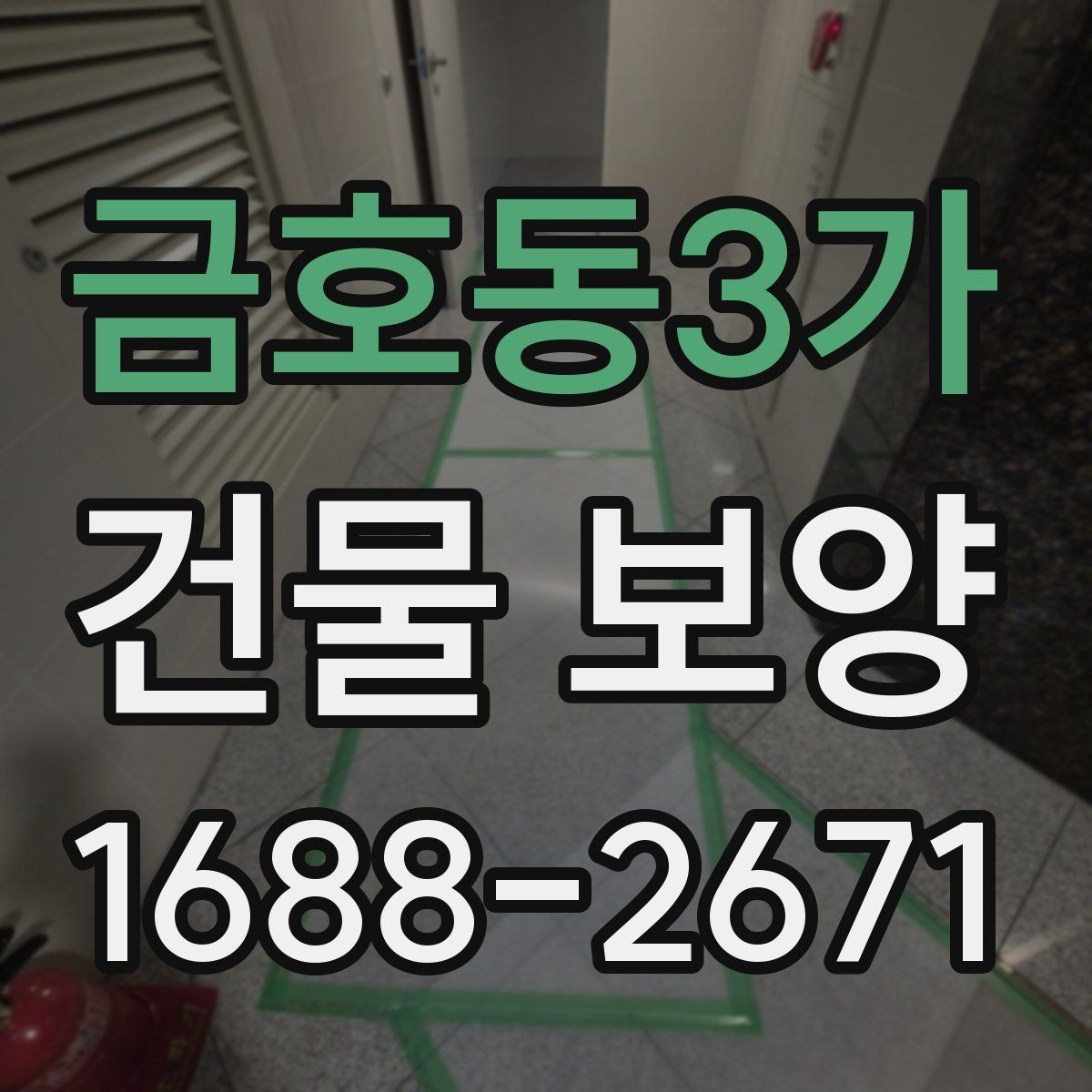 금호동3가 건물 보양 현장별 적용 방식 안내