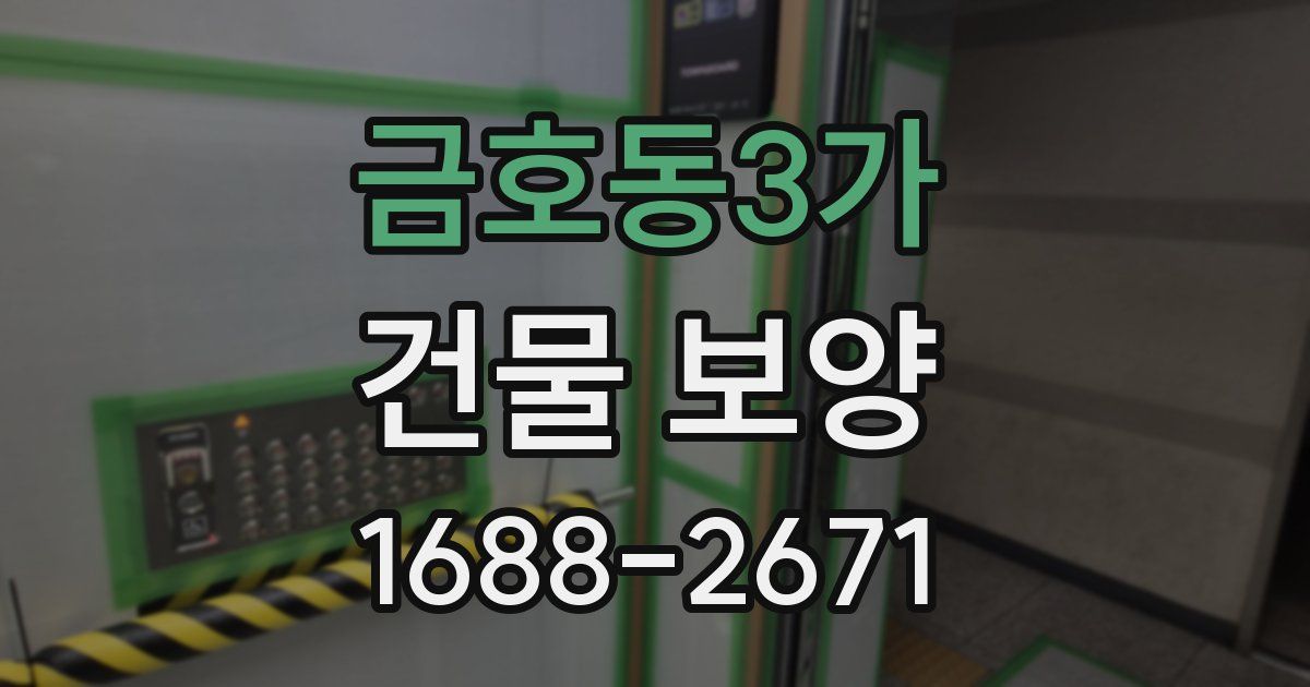 금호동3가 건물 보양