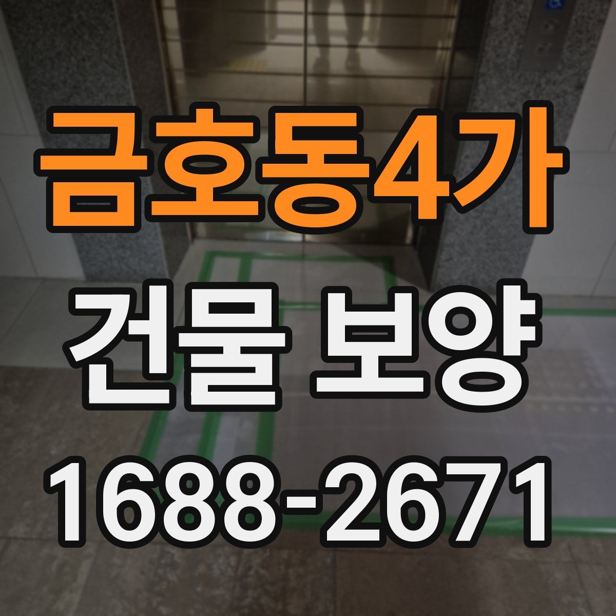 금호동4가 건물 보양