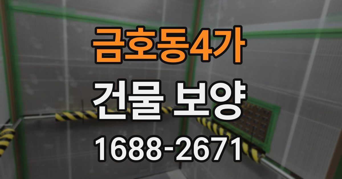 금호동4가 건물 보양