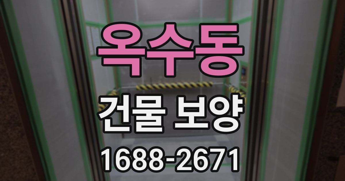 옥수동 건물 보양