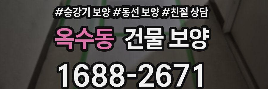 옥수동 건물 보양