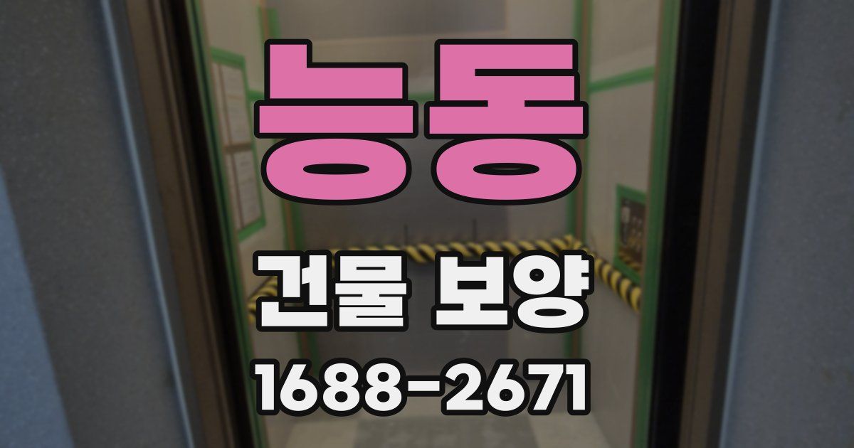 능동 건물 보양