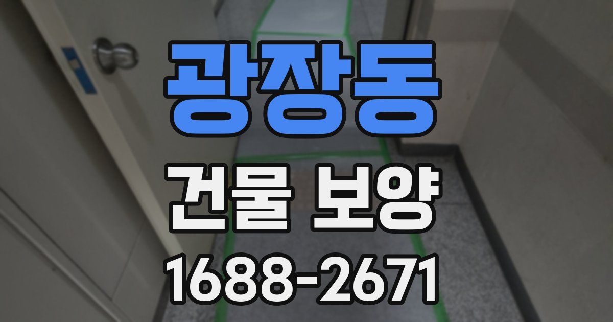 광장동 건물 보양