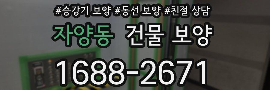 자양동 건물 보양