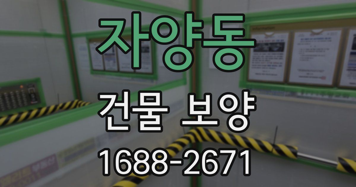 자양동 건물 보양