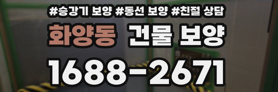 화양동 건물 보양
