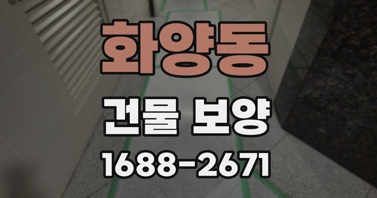 화양동 건물 보양