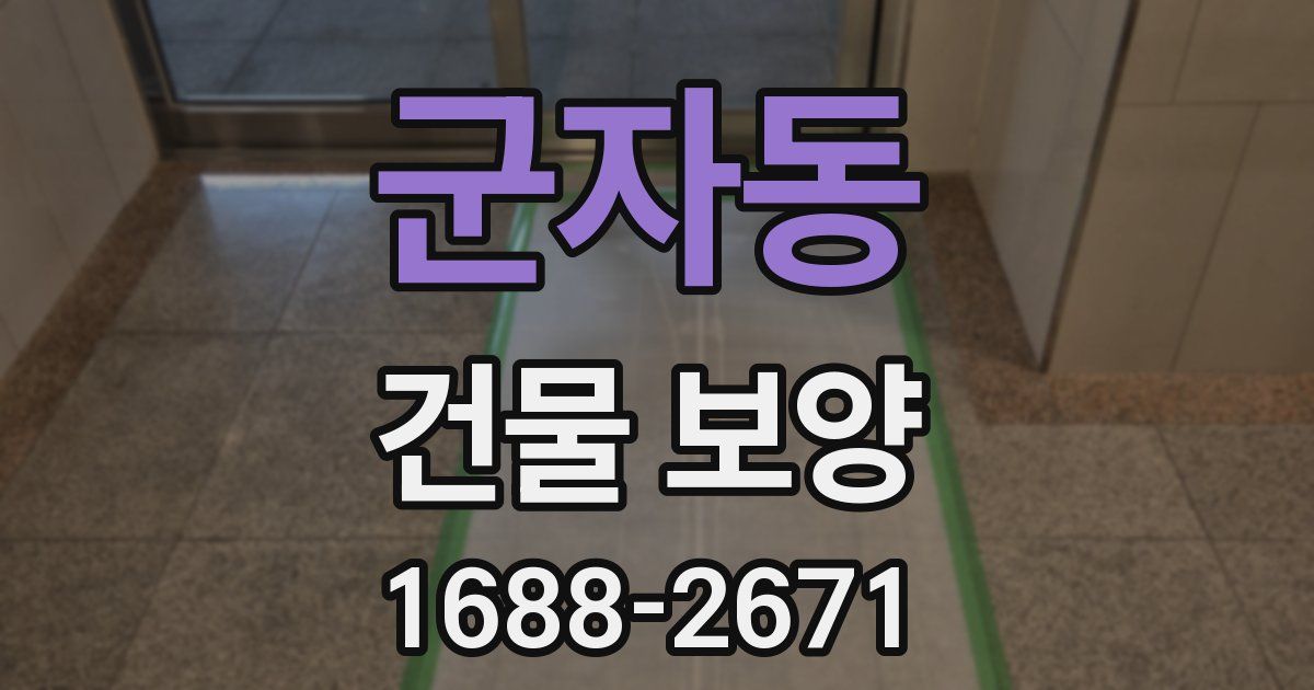 군자동 건물 보양