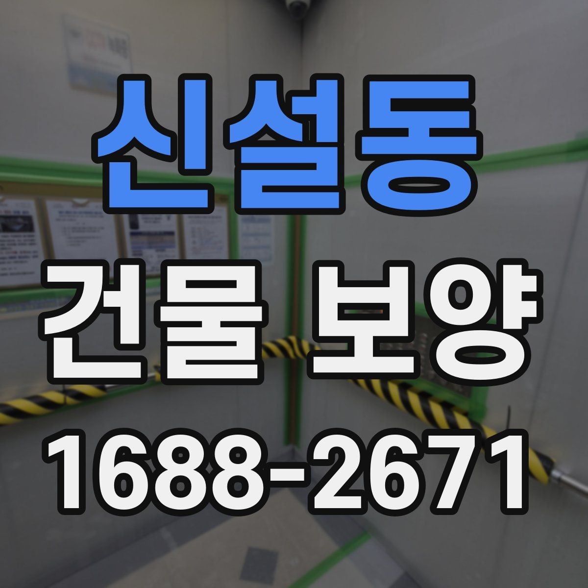 신설동 건물 보양 범위를 넓힐 때 생기는 변수