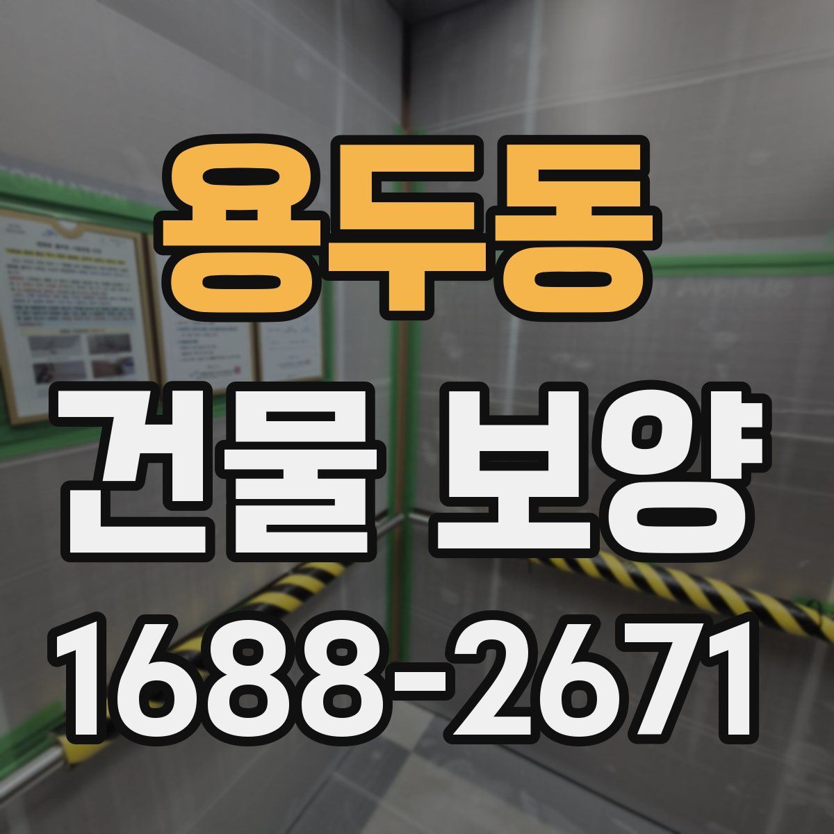 용두동 건물 보양
