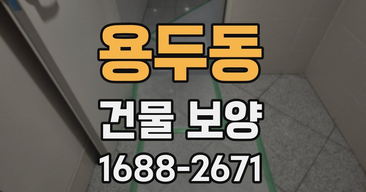 용두동 건물 보양