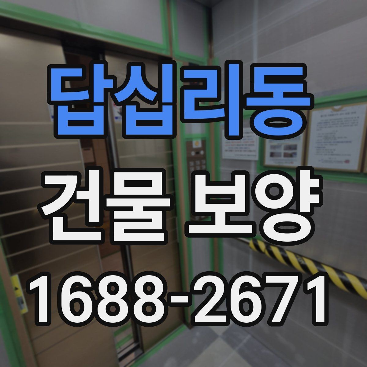 답십리동 건물 보양 시공 전후 사진으로 보는 변화