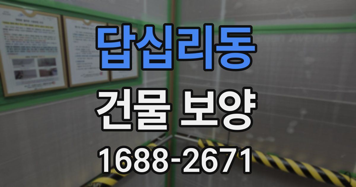 답십리동 건물 보양