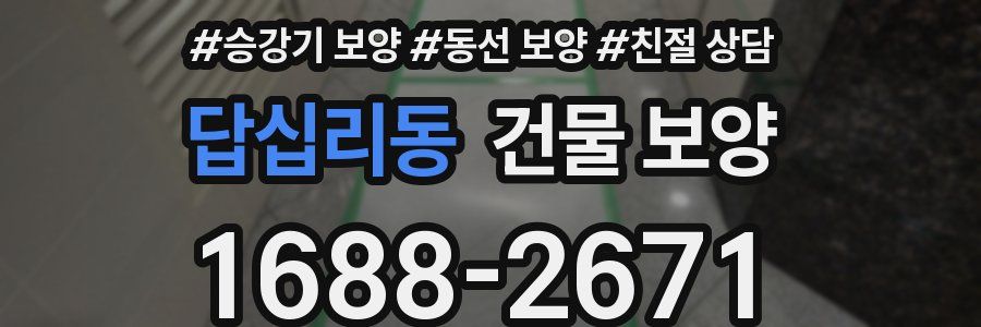 답십리동 건물 보양