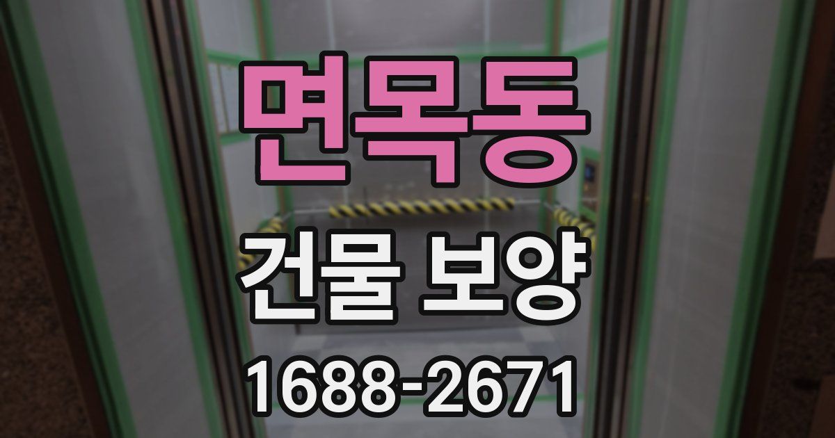 면목동 건물 보양