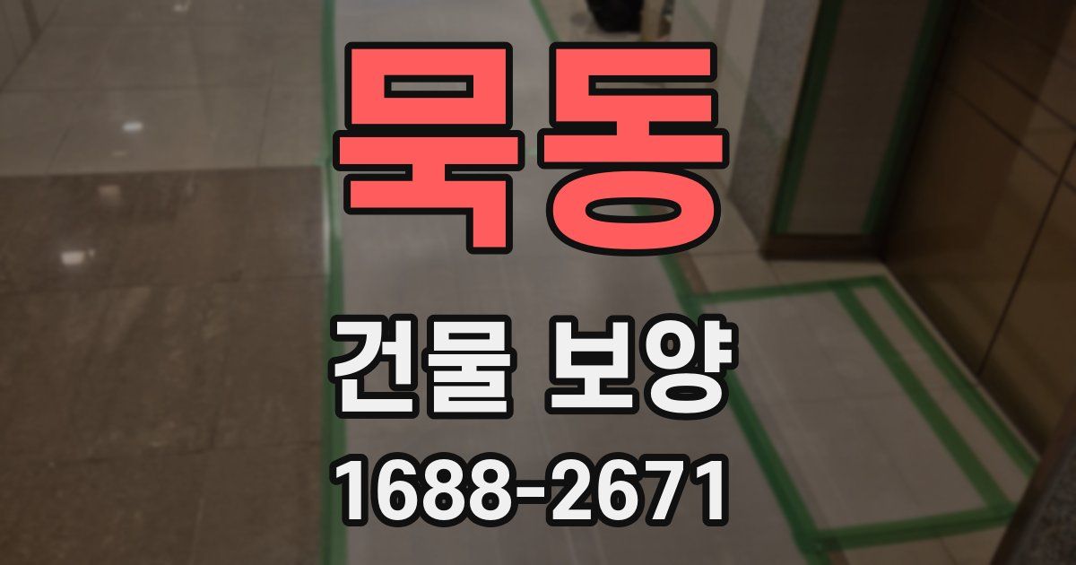 묵동 건물 보양