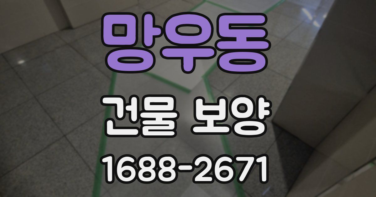 망우동 건물 보양