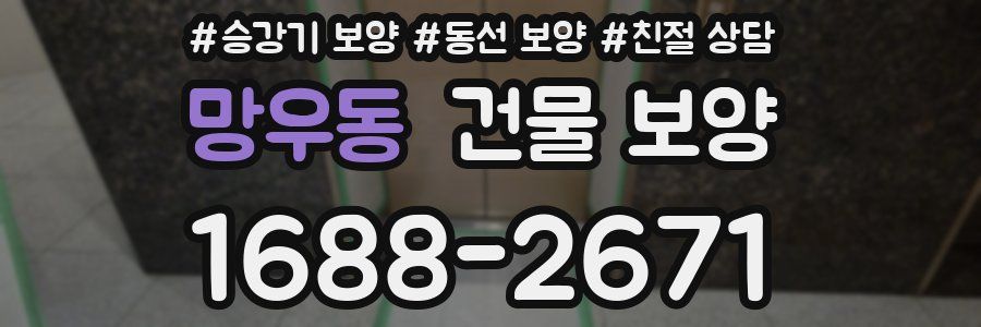 망우동 건물 보양