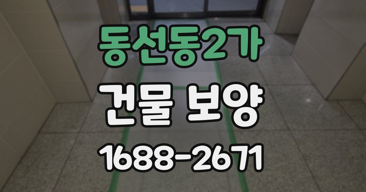 동선동2가 건물 보양
