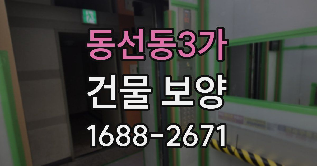 동선동3가 건물 보양
