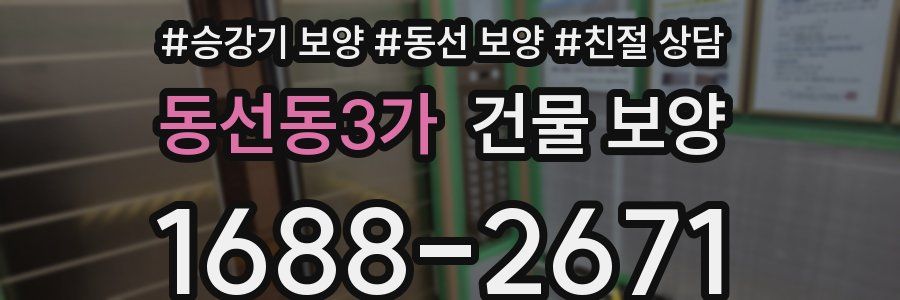 동선동3가 건물 보양