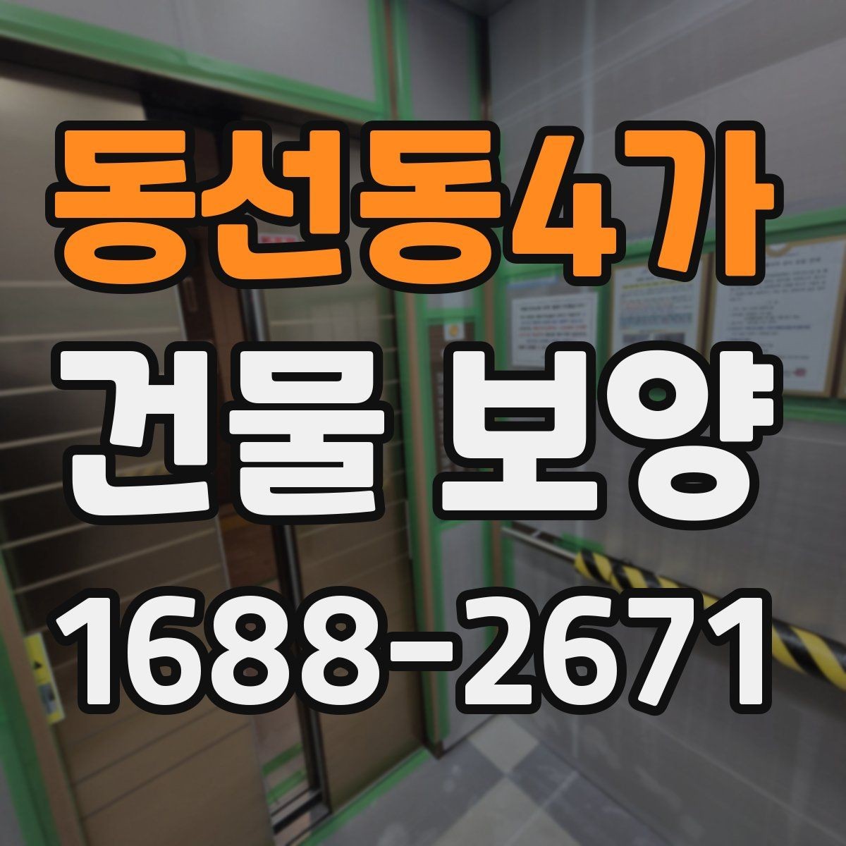 동선동4가 건물 보양 현장에서 쓰는 주요 자재 비교