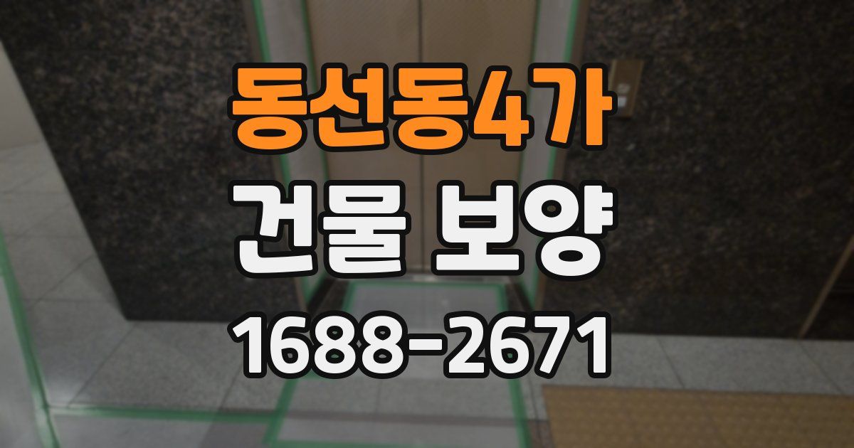 동선동4가 건물 보양