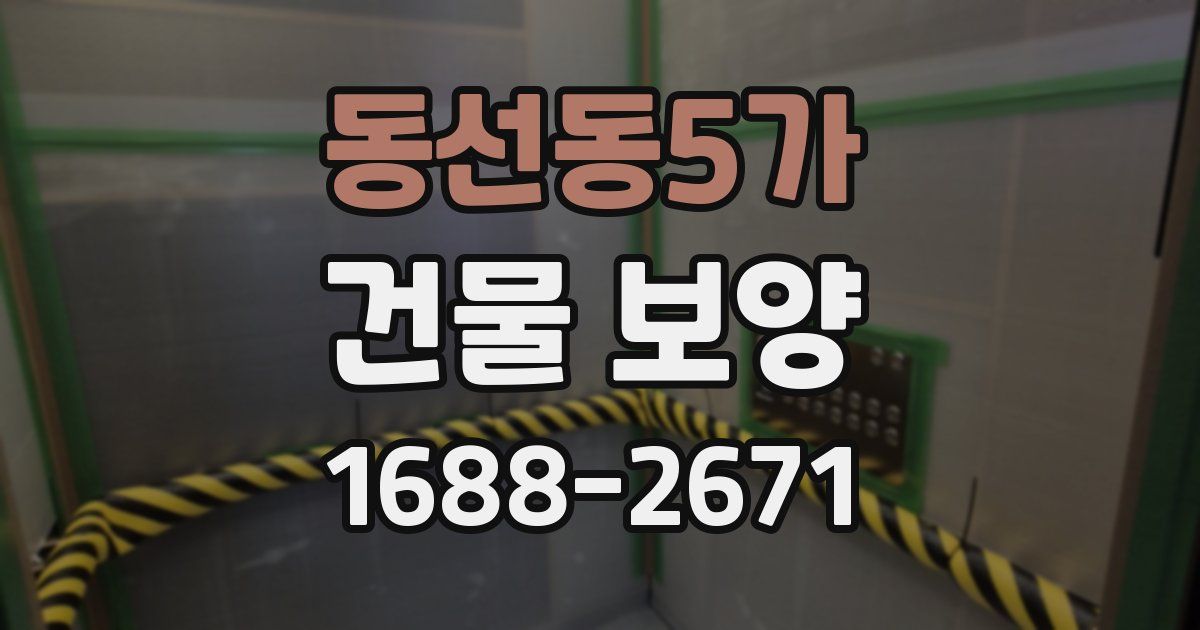 동선동5가 건물 보양