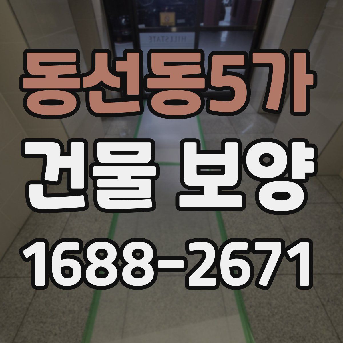 동선동5가 건물 보양