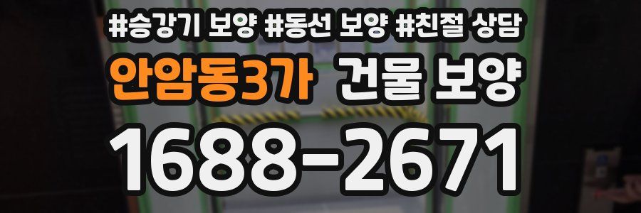 안암동3가 건물 보양